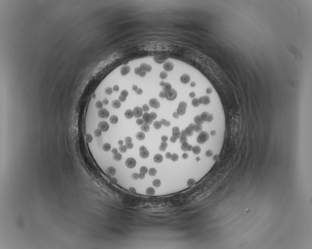 X0000111210727200907291251