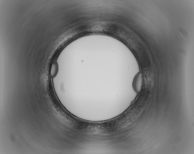 X0000111210728200907291251