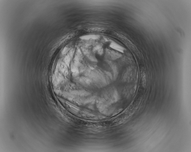 X0000111210729200907291251