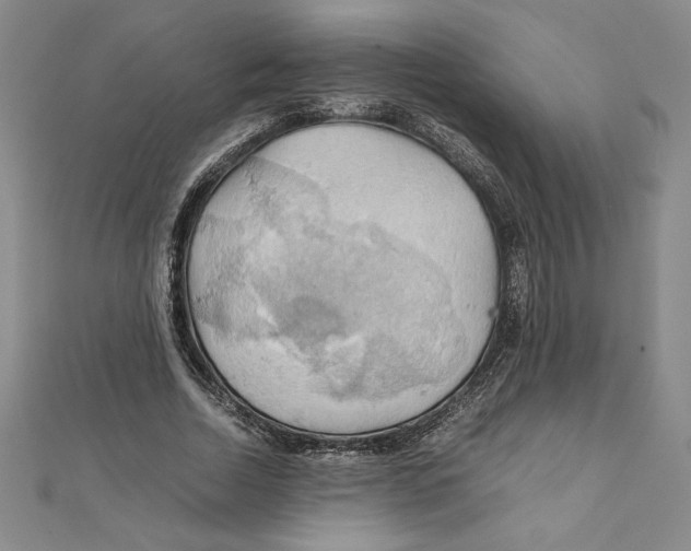 X0000111210730200907291251