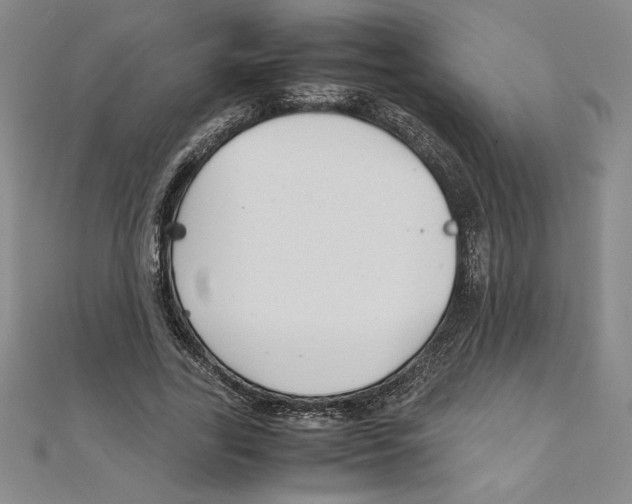 X0000111210731200907291251