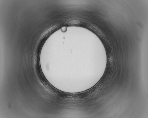 X0000111210732200907291251