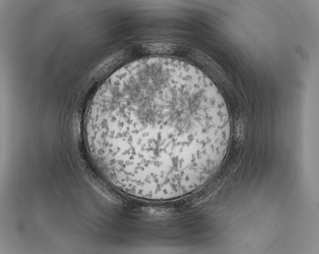 X0000111210733200907291251