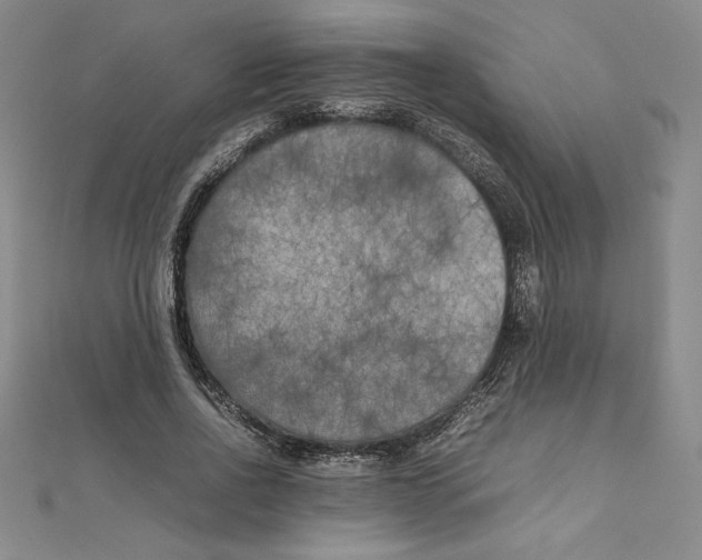 X0000111210734200907291251