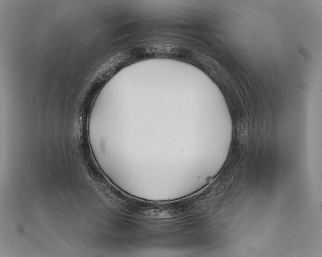 X0000111210735200907291251