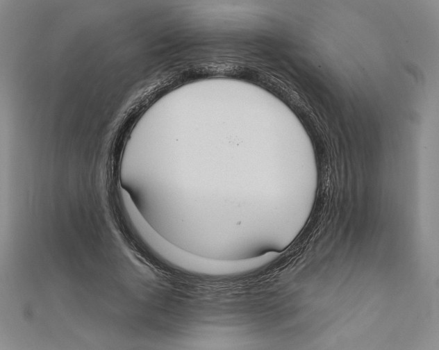 X0000111210736200907291251