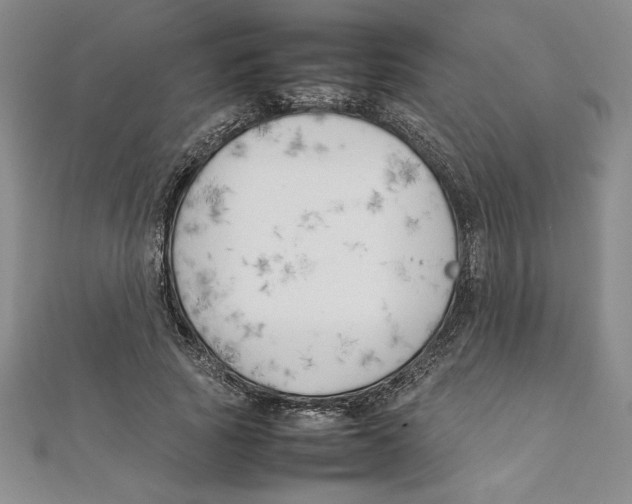 X0000111210737200907291251