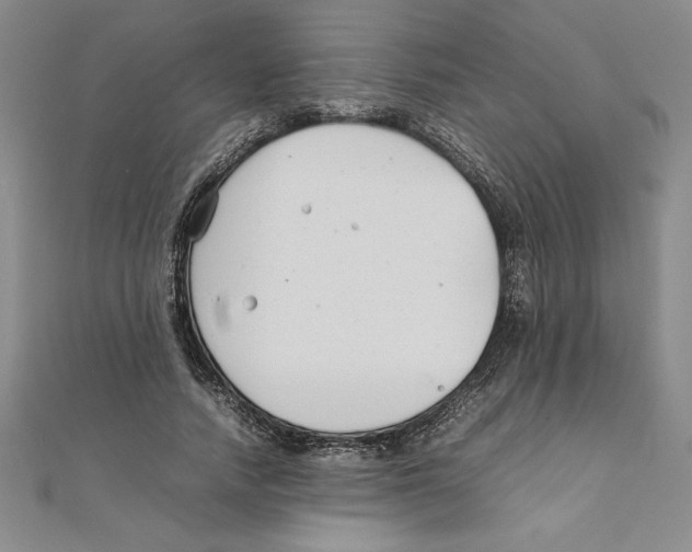 X0000111210738200907291251