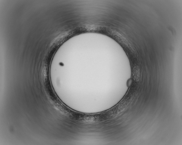 X0000111210740200907291251