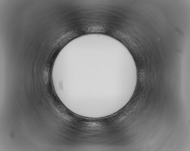 X0000111210741200907291251