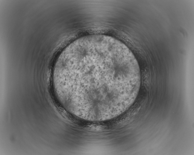 X0000111210742200907291251