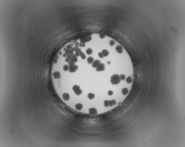 X0000111210745200907291251