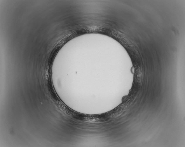 X0000111210746200907291251