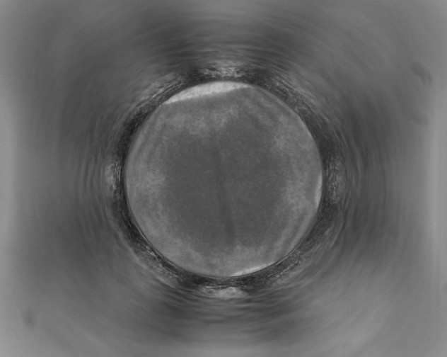 X0000111210747200907291251