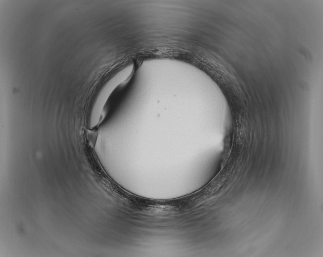 X0000111210748200907291251