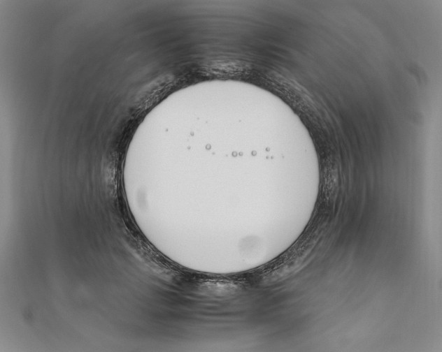 X0000111210749200907291251