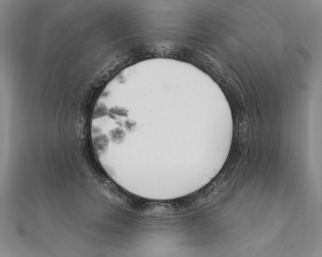 X0000111210750200907291251