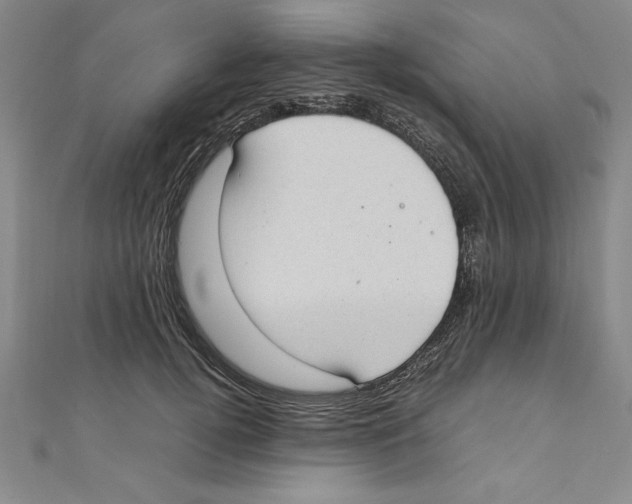 X0000111210752200907291251