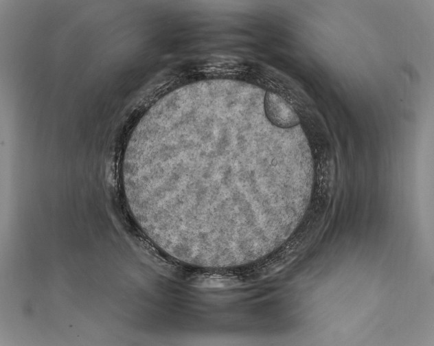 X0000111210755200907291251