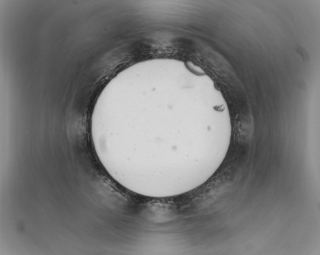 X0000111210756200907291251