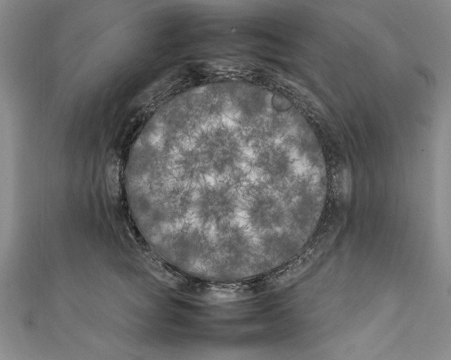X0000111210757200907291251