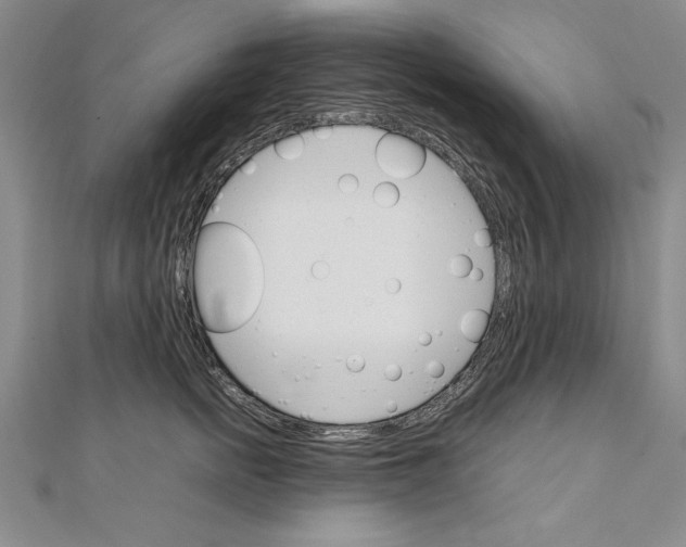 X0000111210758200907291251