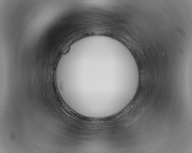 X0000111210760200907291251