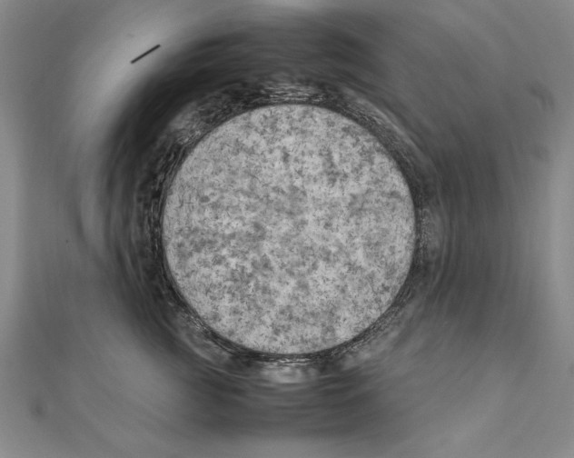 X0000111210761200907291251