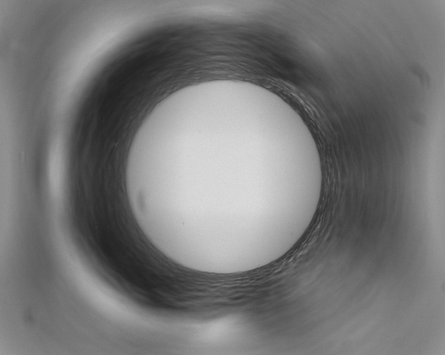 X0000111210764200907291251