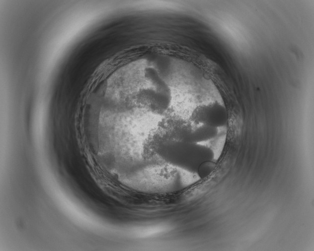 X0000111210765200907291251