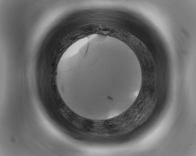 X0000111210766200907291251