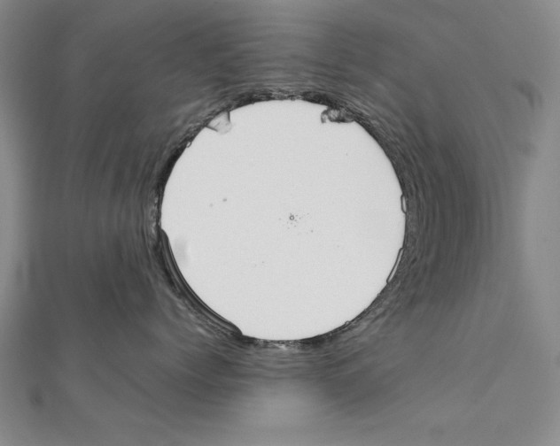 X0000111210768200907291251