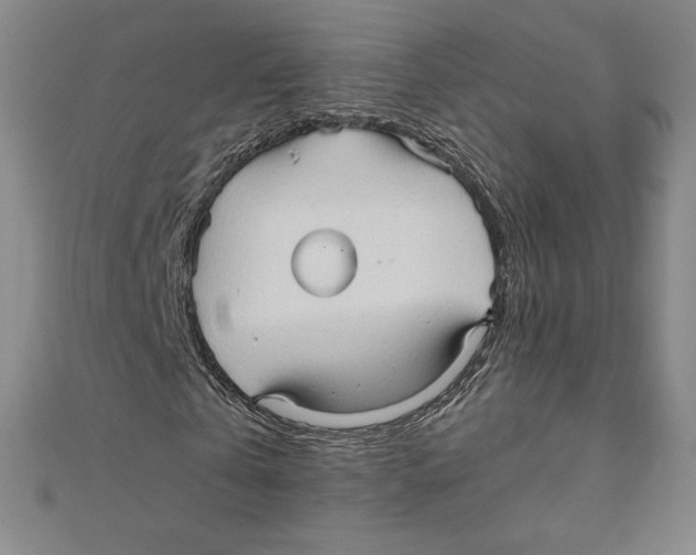 X0000111210769200907291250