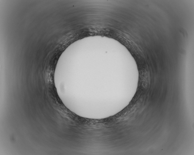 X0000111210770200907291250