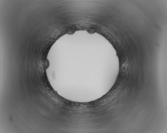 X0000111210772200907291250