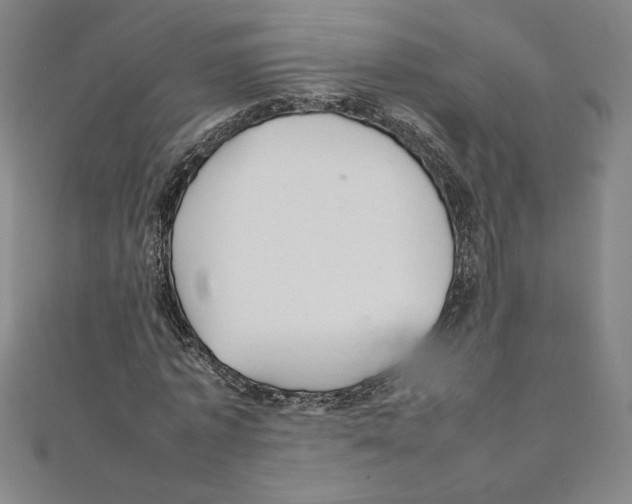 X0000111210773200907291250