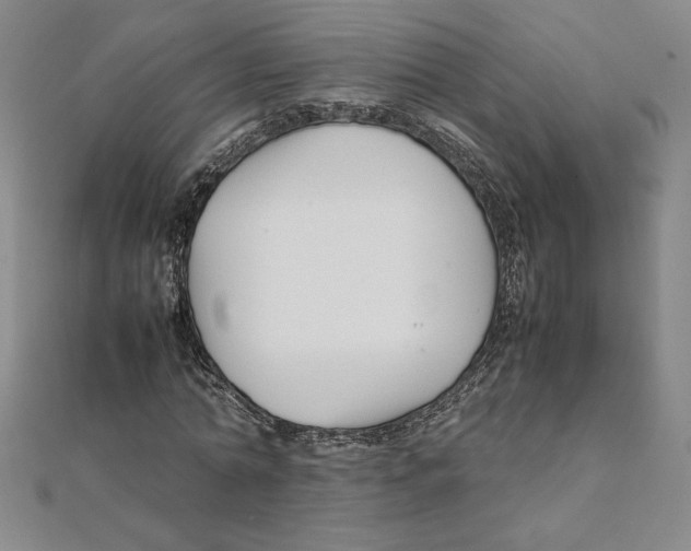 X0000111210774200907291250