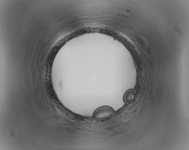 X0000111210775200907291250