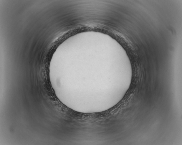 X0000111210776200907291250