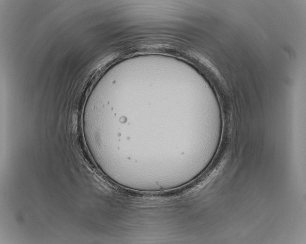 X0000111210777200907291250