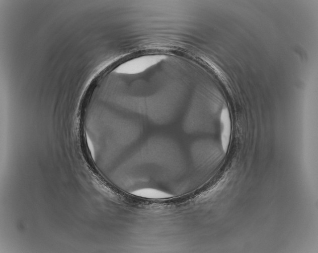 X0000111210779200907291250