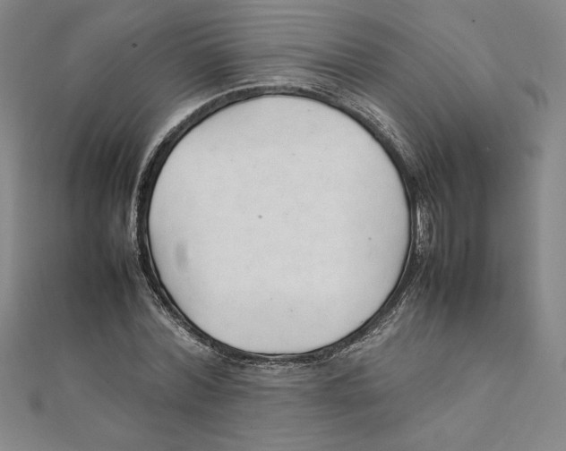 X0000111210780200907291250