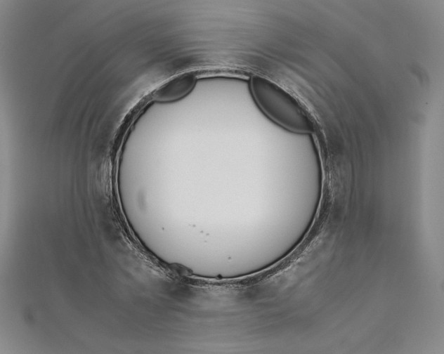 X0000111210781200907291250