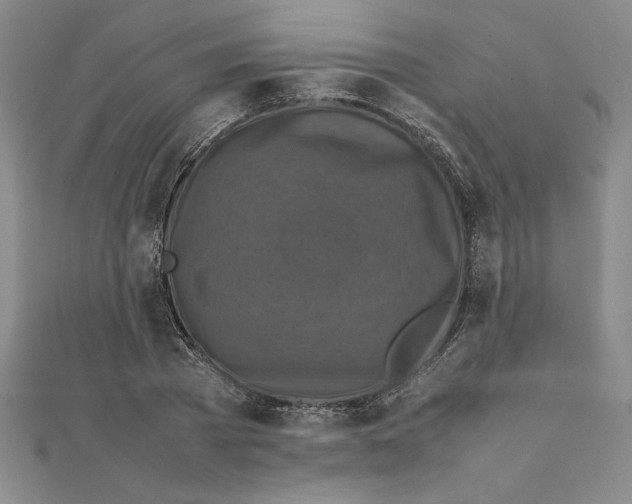 X0000111210785200907291250