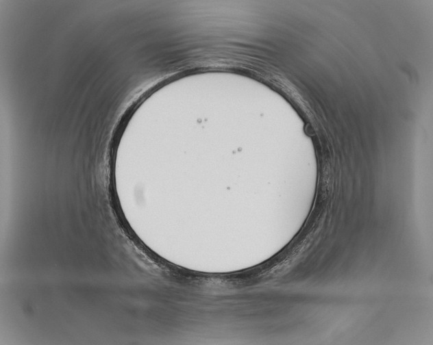 X0000111210787200907291250