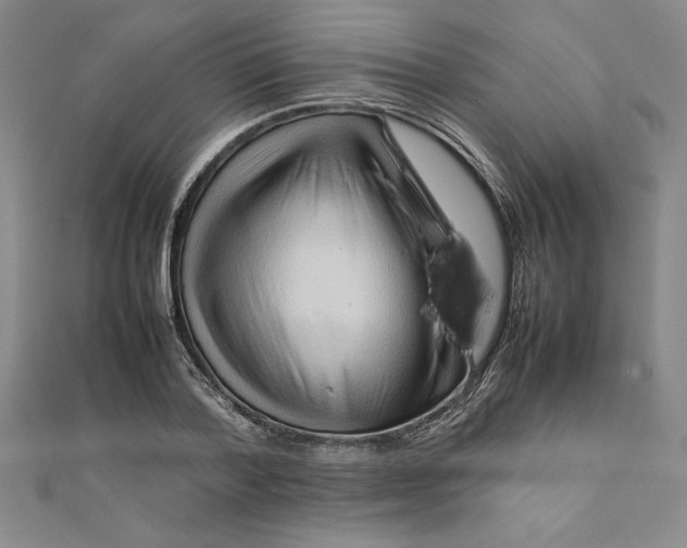 X0000111210788200907291250