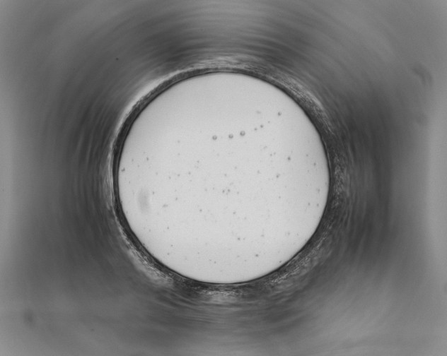 X0000111210792200907291250