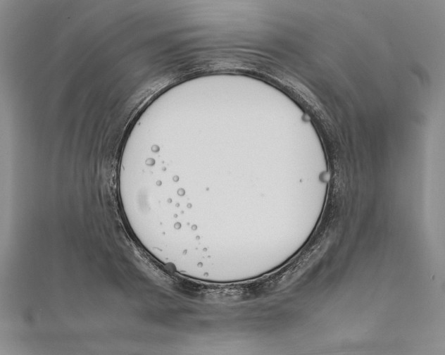 X0000111210793200907291250