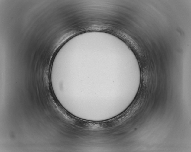 X0000111210794200907291250