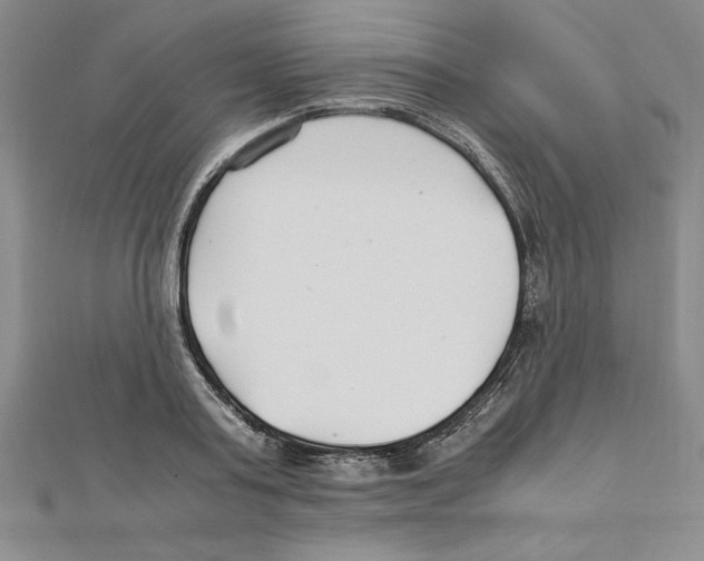 X0000111210795200907291250